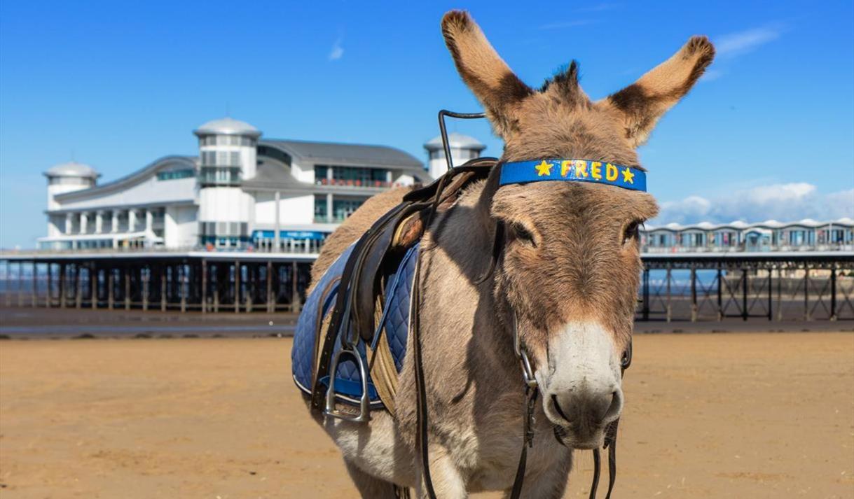 Corbiere Guest House Weston-super-Mare Bagian luar foto